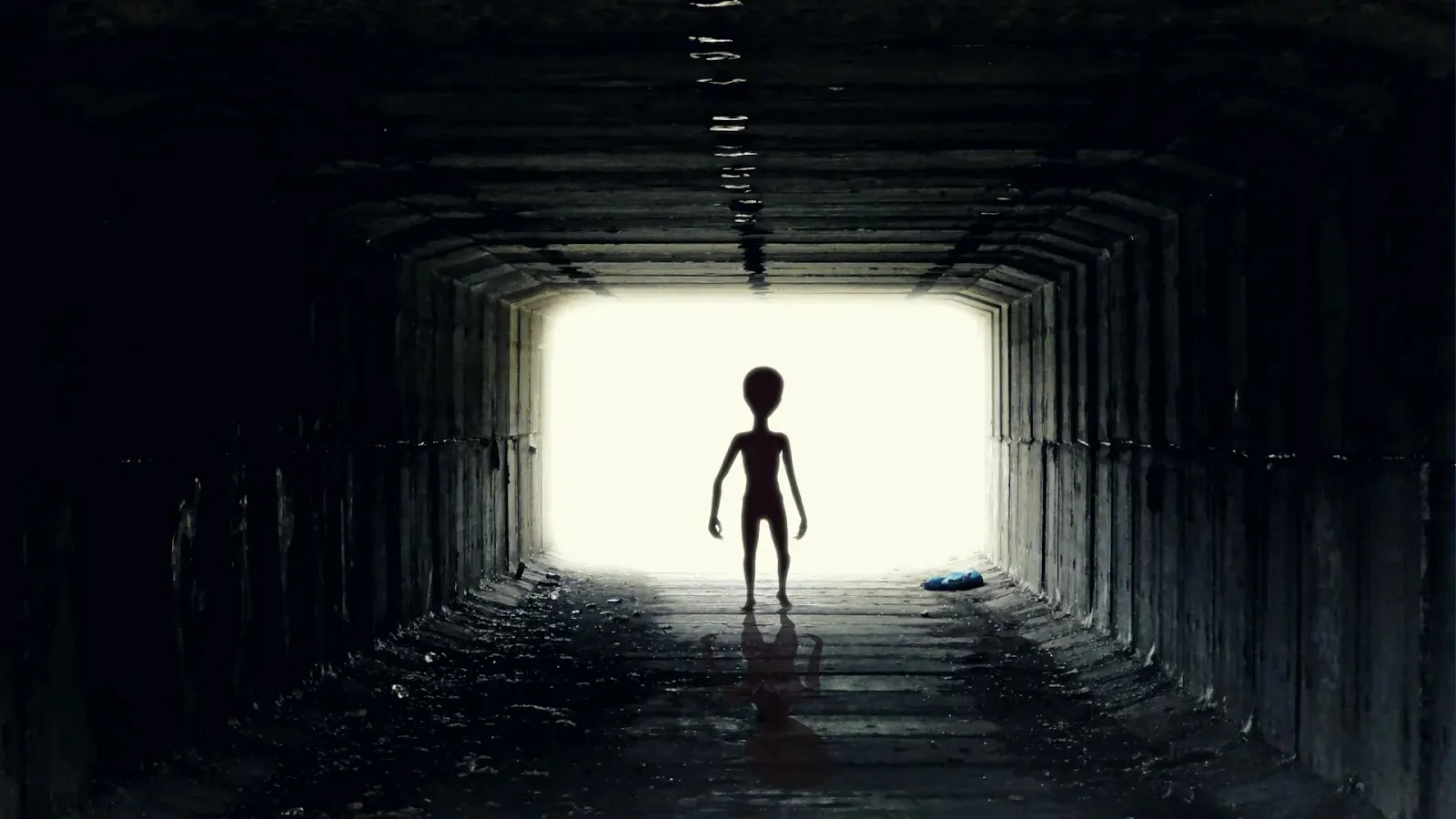 An artist's conceptualization of Panspermia