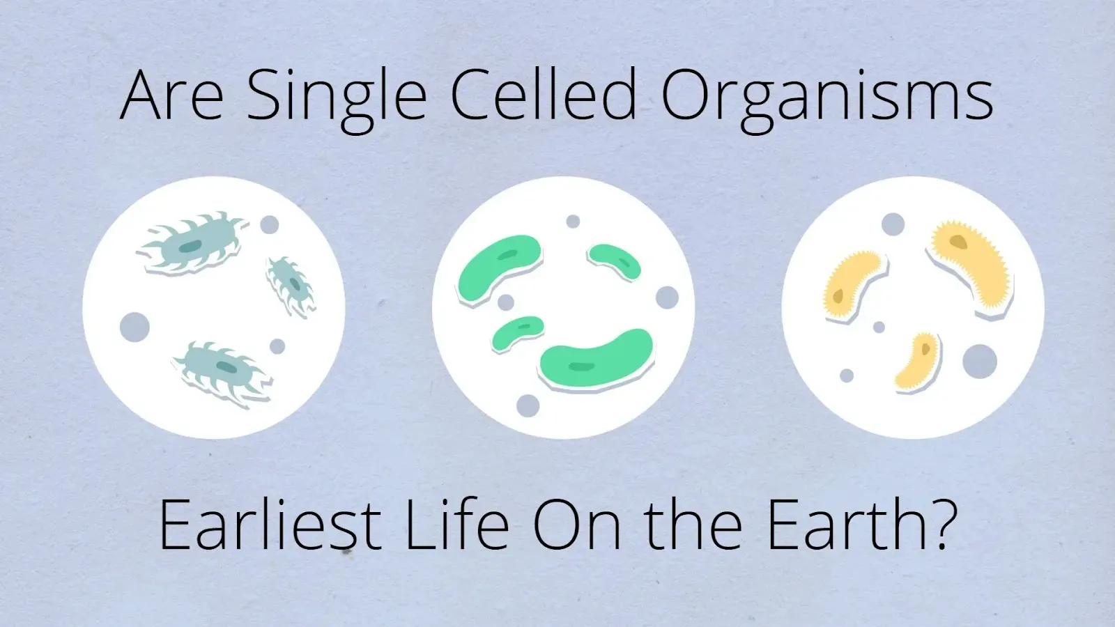 Single-celled organisms representing early life