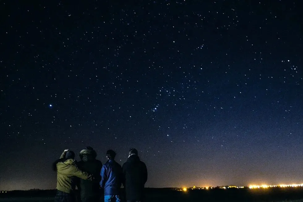friends gathered to watch the stars in the beautiful night sky.