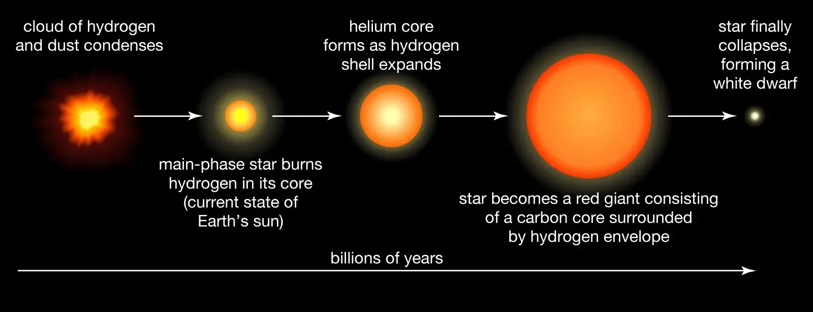Main sequence stars the most common type of stars