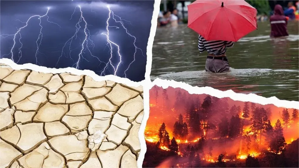 extreme weather conditions are very harsh.