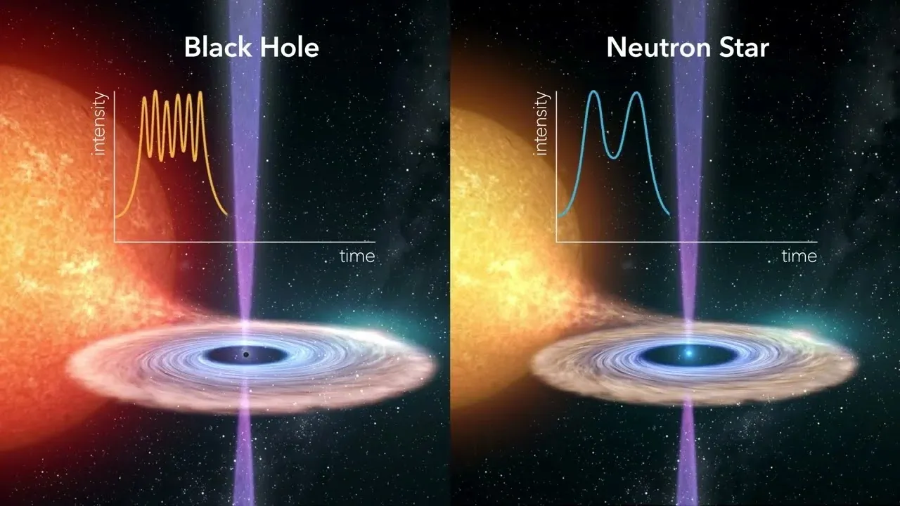 Neutron stars and black holes the remnants of supernovas