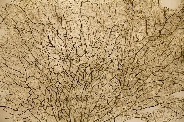 Plant tissues