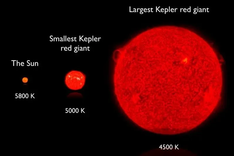 Red giants and supergiants the later stages of a star s life