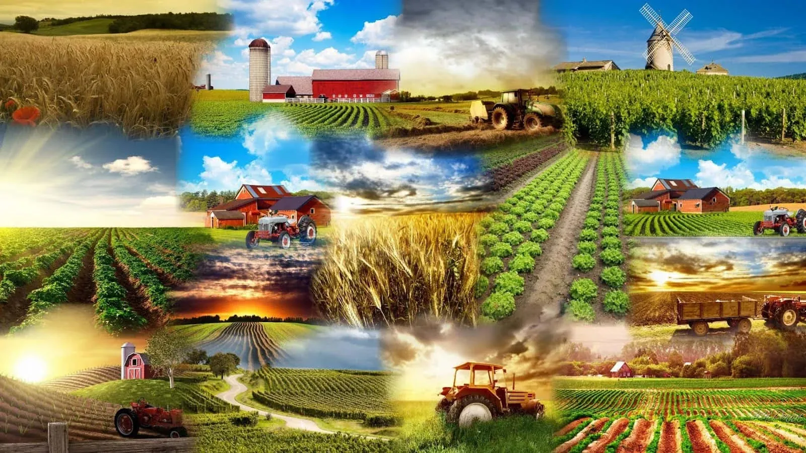 farming is a lot of work to produce better crop yield.